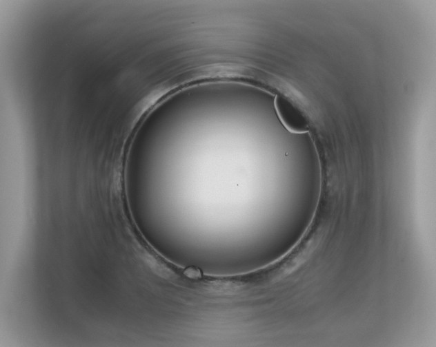 X0000110731081200906121443