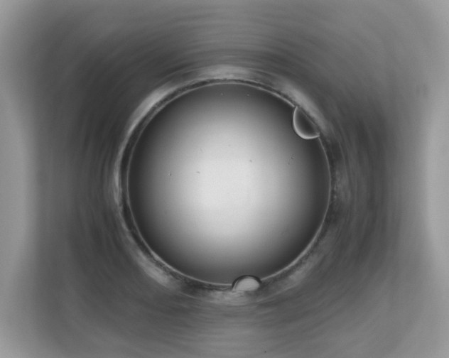 X0000110731082200906121443