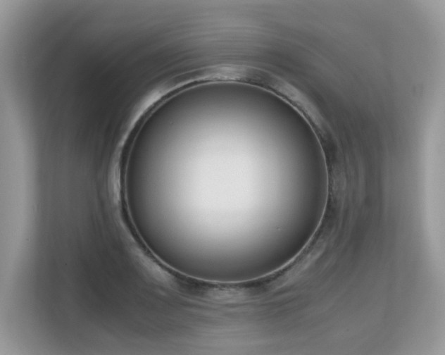 X0000110731083200906121443