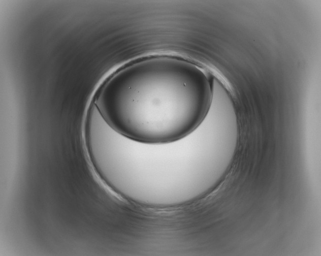 X0000110731084200906121443