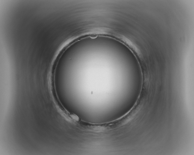 X0000110731085200906121443