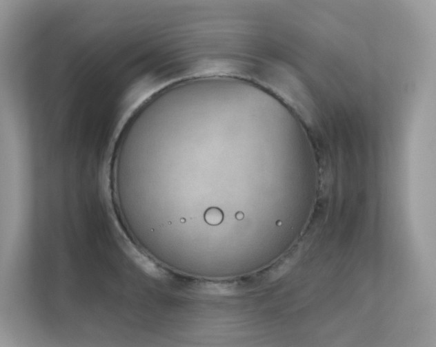 X0000110731086200906121443