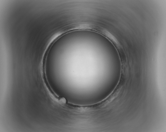 X0000110731087200906121443
