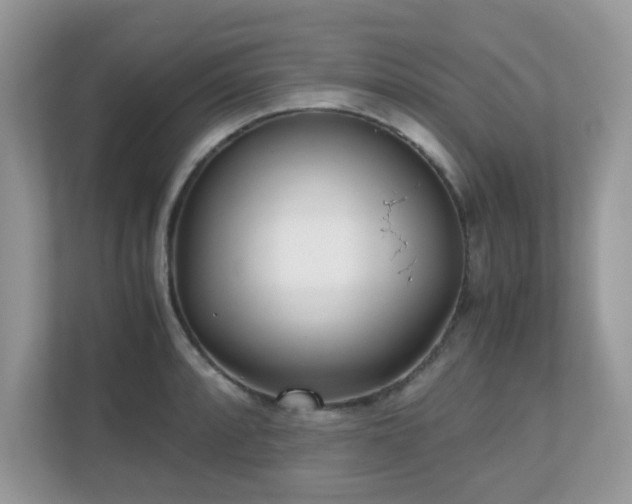 X0000110731088200906121443