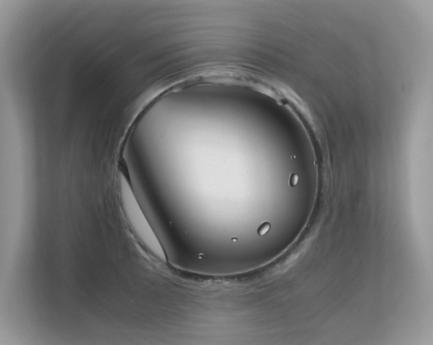 X0000110731089200906121443