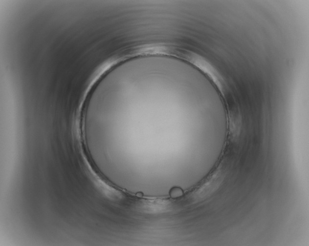 X0000110731090200906121443