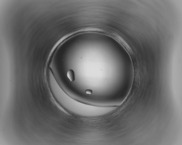 X0000110731092200906121443