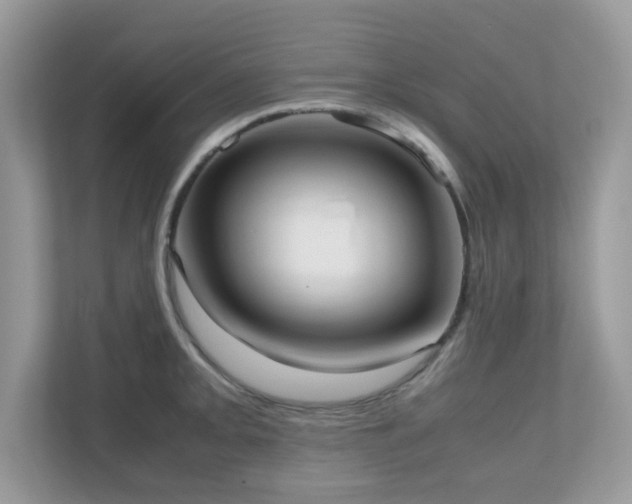 X0000110731093200906121443
