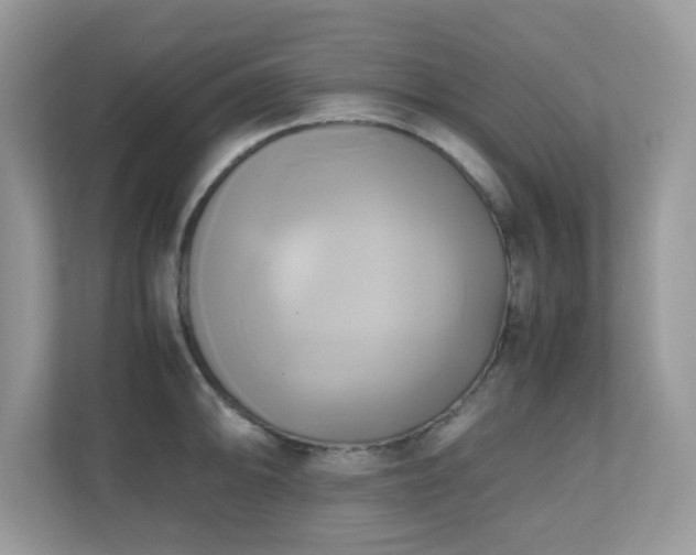 X0000110731094200906121443