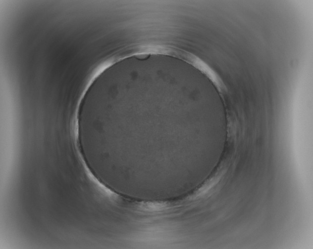 X0000110731095200906121443