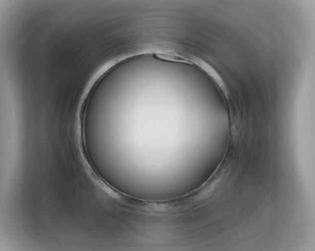 X0000110731096200906121443