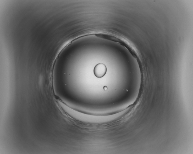 X0000110731097200906121443
