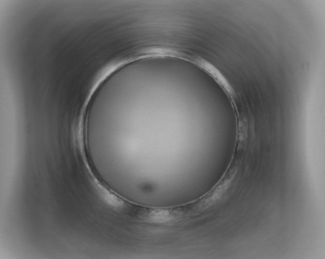 X0000110731098200906121443