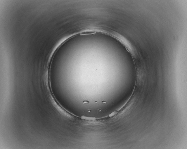 X0000110731100200906121443