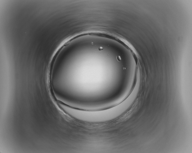 X0000110731101200906121443