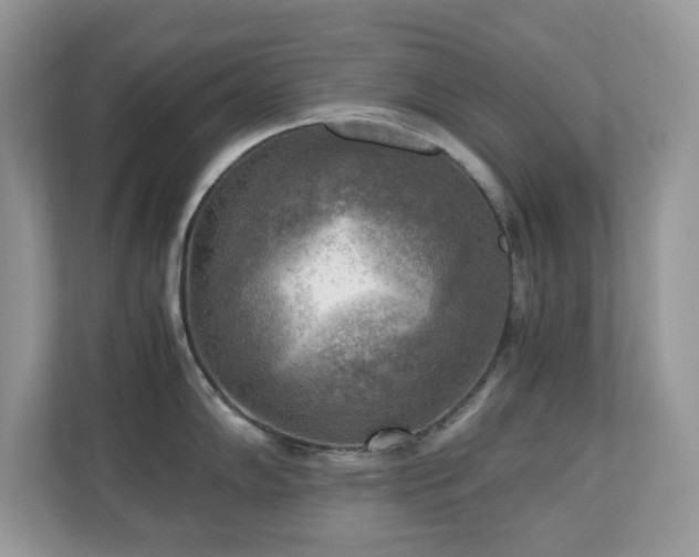 X0000110731102200906121443