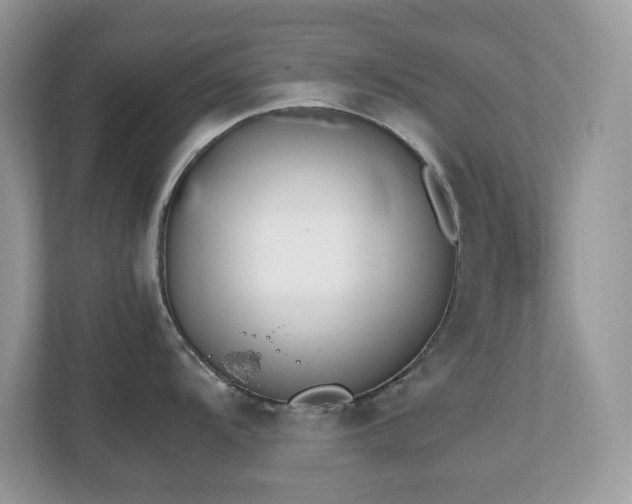 X0000110731104200906121443