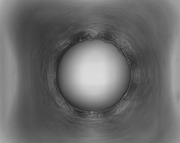 X0000110731105200906121443