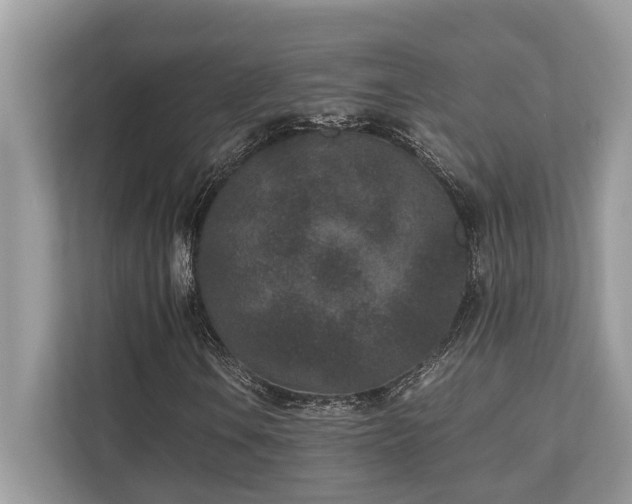 X0000110731106200906121443