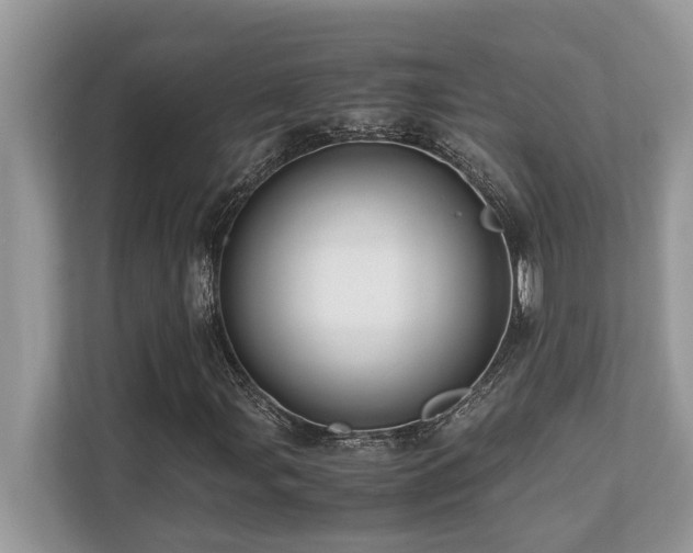 X0000110731107200906121443