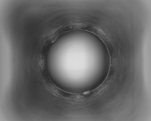 X0000110731109200906121443