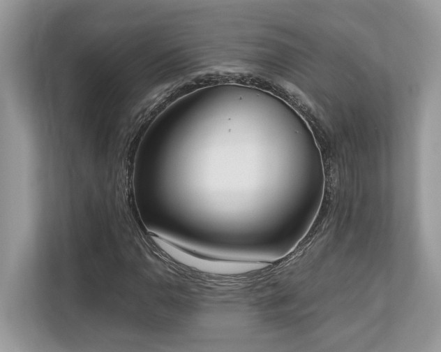 X0000110731110200906121443