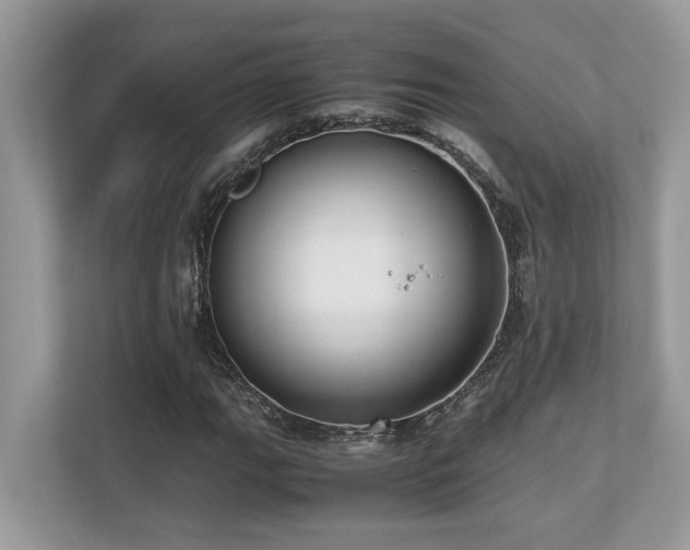 X0000110731111200906121443