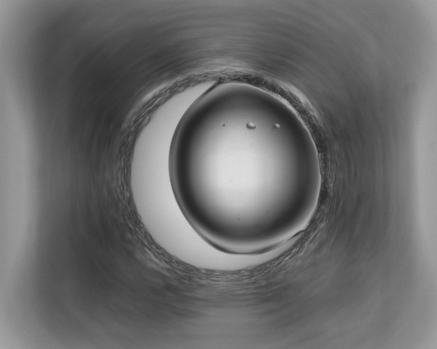 X0000110731112200906121443