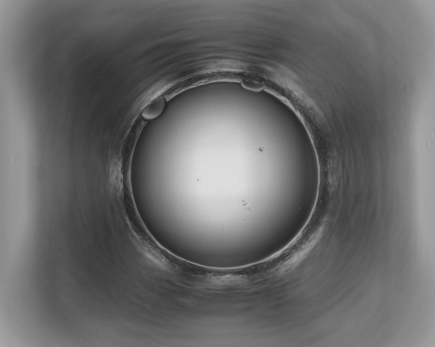 X0000110731113200906121443