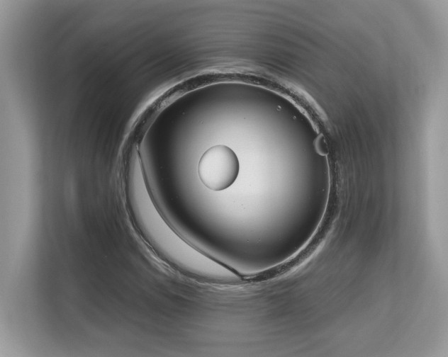 X0000110731114200906121443