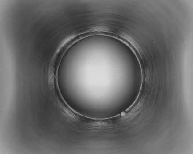 X0000110731115200906121443
