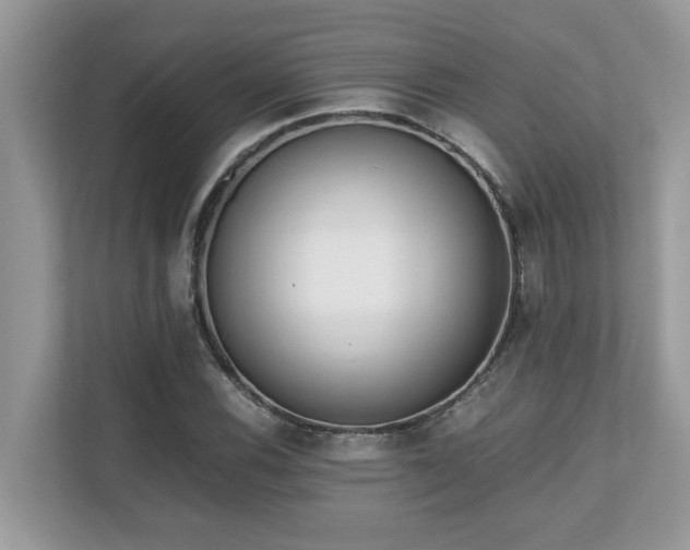 X0000110731116200906121443