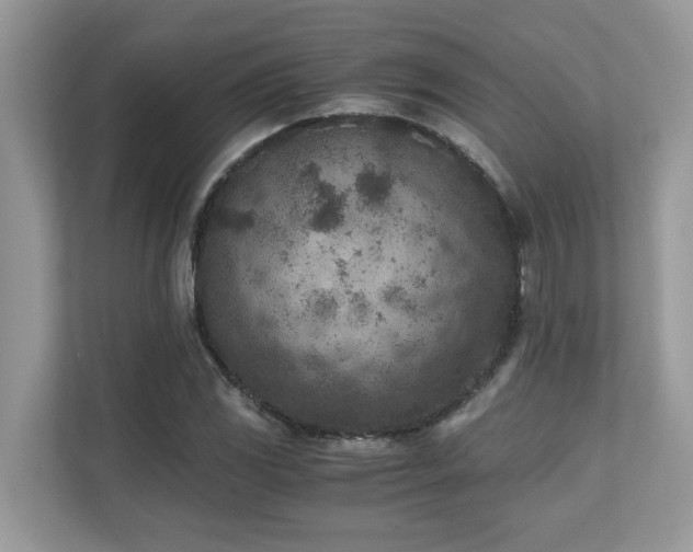 X0000110731117200906121443