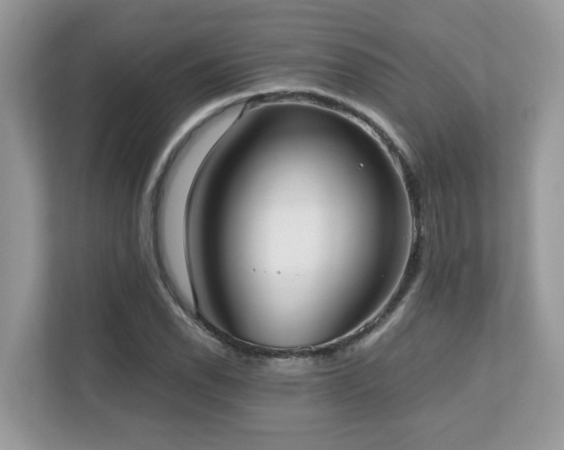X0000110731118200906121443