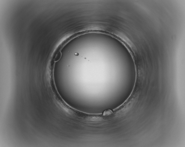 X0000110731119200906121443