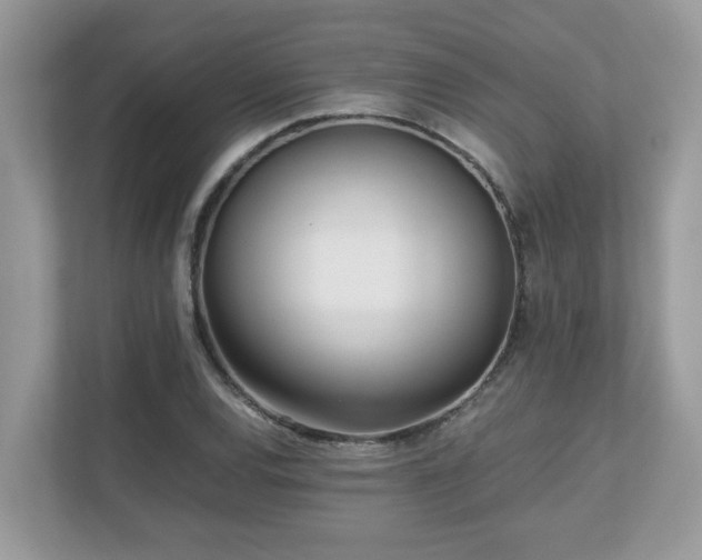 X0000110731120200906121443