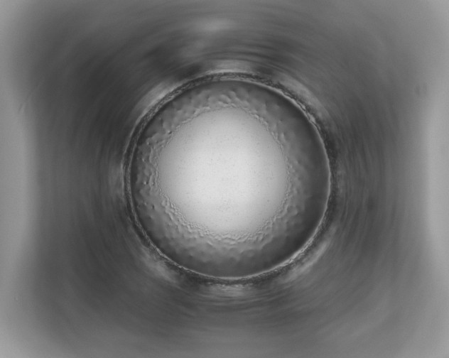 X0000110731121200906121443