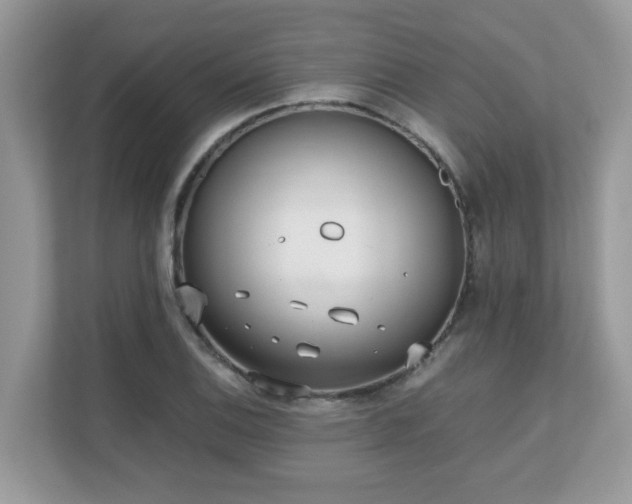 X0000110731124200906121443