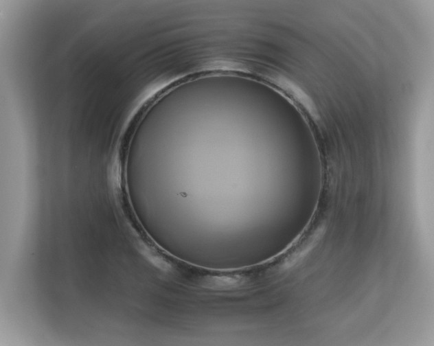 X0000110731125200906121443