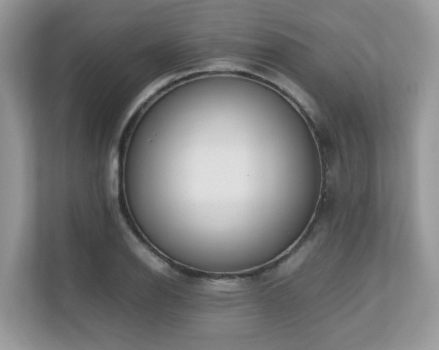 X0000110731126200906121443