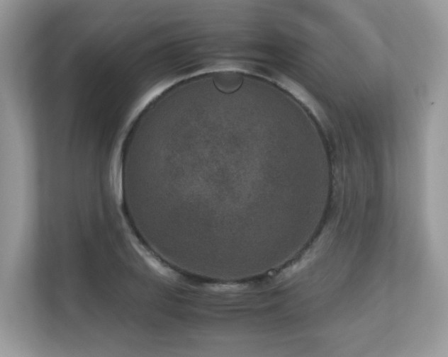 X0000110731127200906121443