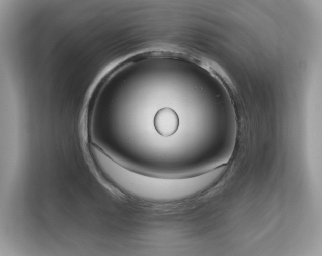 X0000110731128200906121443