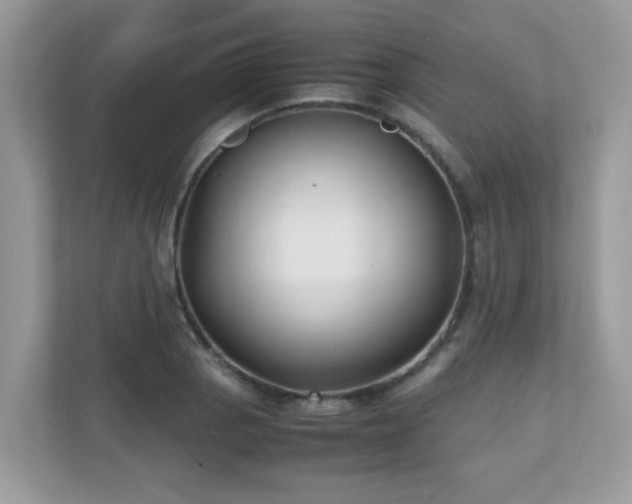X0000110731129200906121443