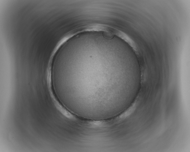 X0000110731130200906121443