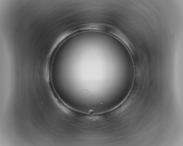 X0000110731131200906121443