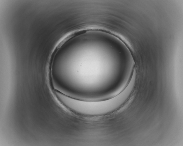 X0000110731134200906121443