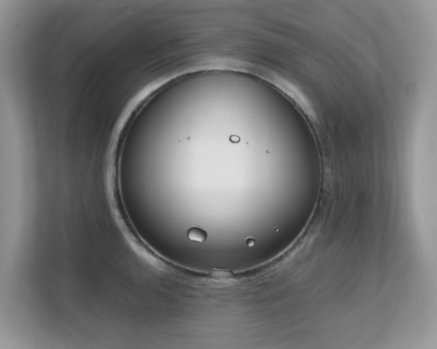 X0000110731136200906121443