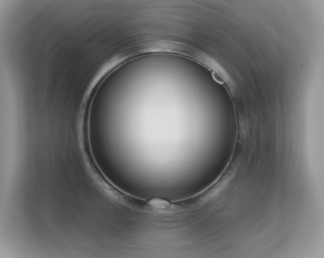 X0000110731138200906121443