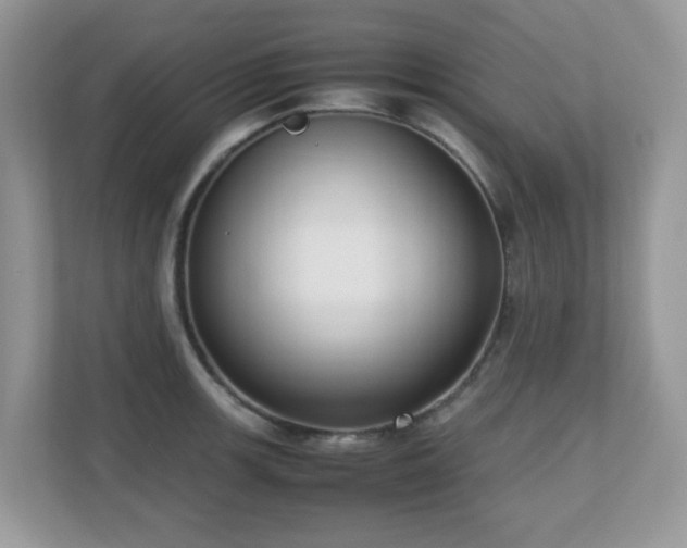 X0000110731139200906121443