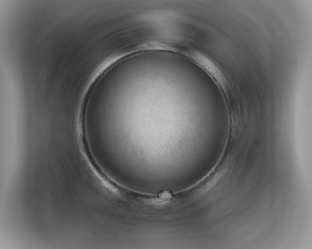 X0000110731141200906121443
